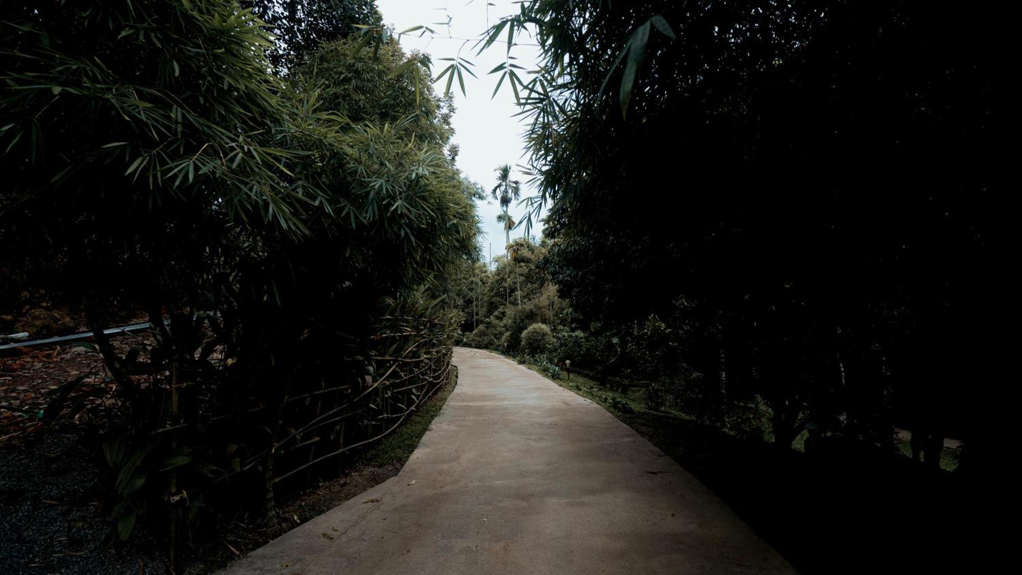 Vythiri Holiday Resort, Wayanad Exterior foto