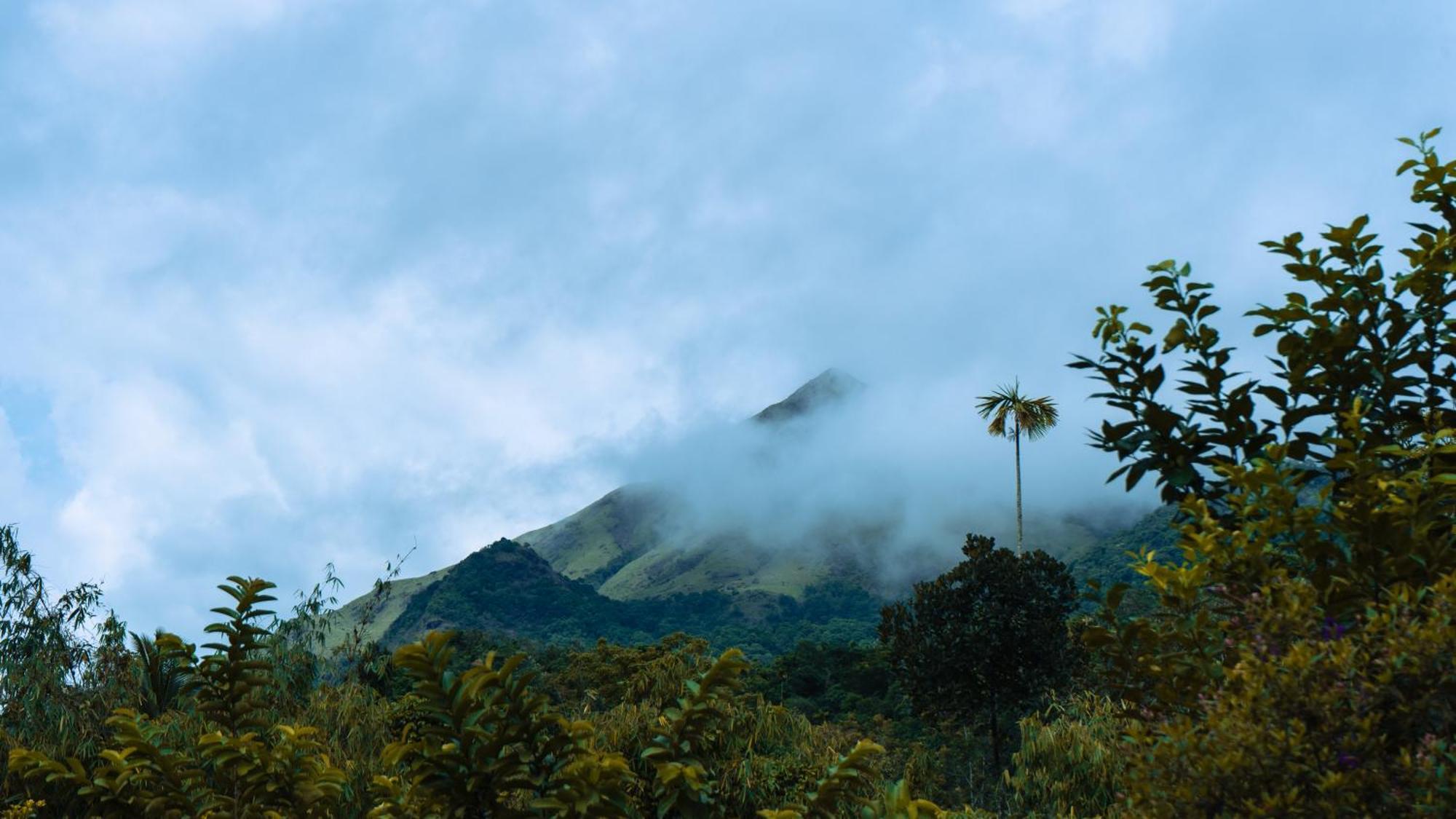 Vythiri Holiday Resort, Wayanad Exterior foto